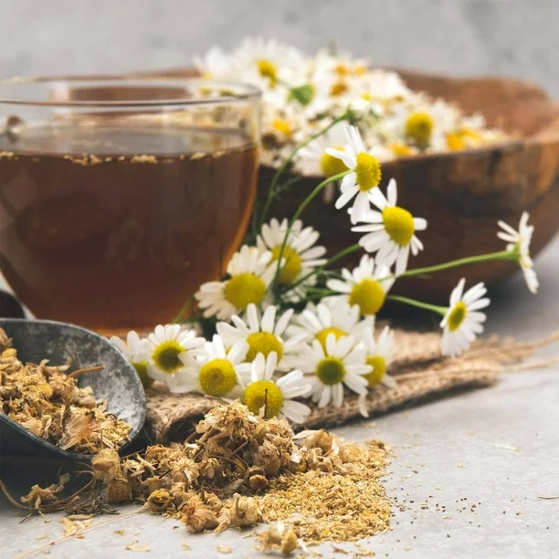 Té de Manzanilla Member's Mark 200 Bolsas de 1.2 g