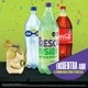 Refresco Coca-Cola Surtido Pet 8 pzas de 2 L c/u