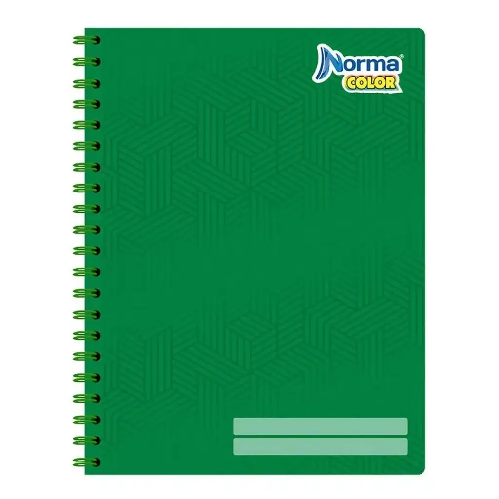 Cuaderno Profesional 100Hjs Normal Color C5 [265020506]