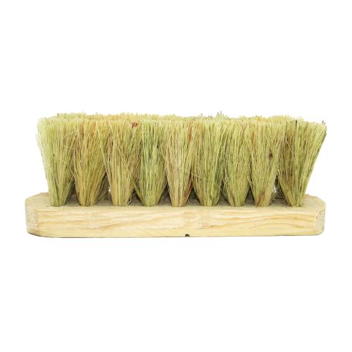 Cepillo de lechuguilla con 9 motas