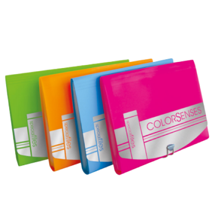 Archivador Mae expandible carta C/12 divisiones