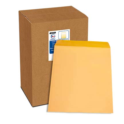 Sobre bolsa kraft Nassa radiografía 90 KG 40X50 PQ250