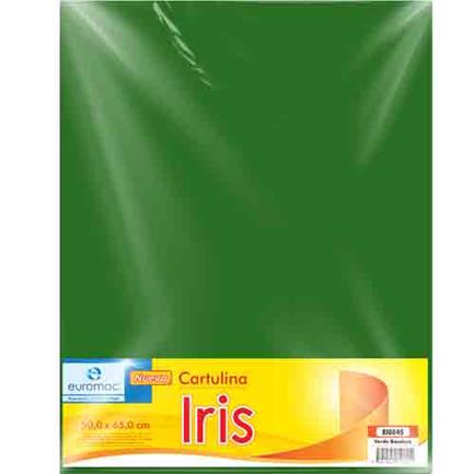 Cartulina Euromac iris vde bandera 50X65 C/10