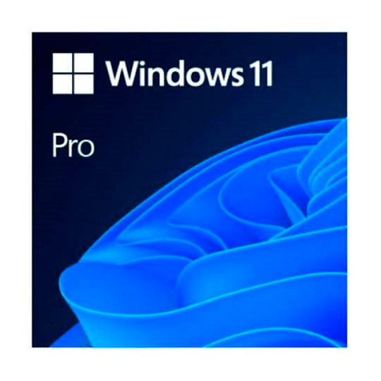 Windows Microsoft OEM 11 pro 64bits.