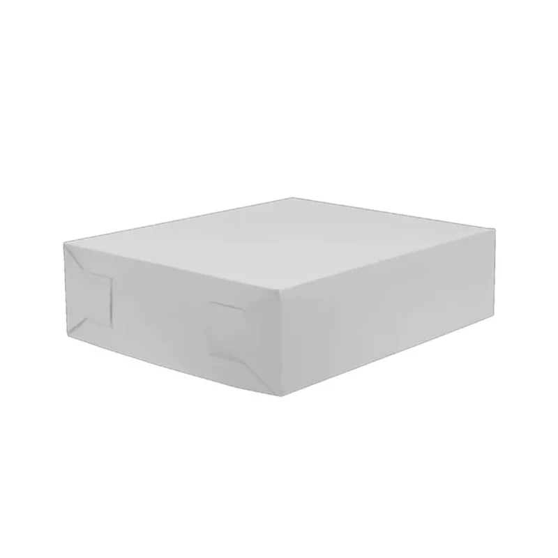 Caja blanca pastel 8013 35X31+10 . caja c/ 10 PZ.