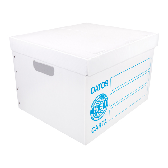 Caja de archivo plástica GEO carta colorblanco