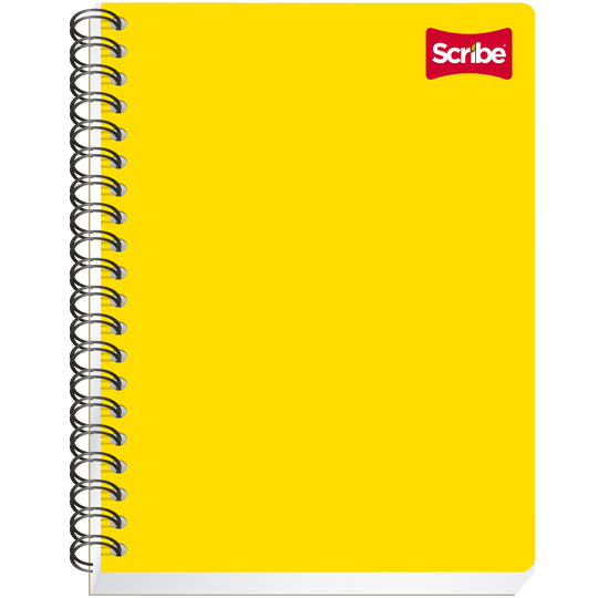 Cuaderno Scribe profesional clásico cuadro chico (5 mm), con 100 hojas