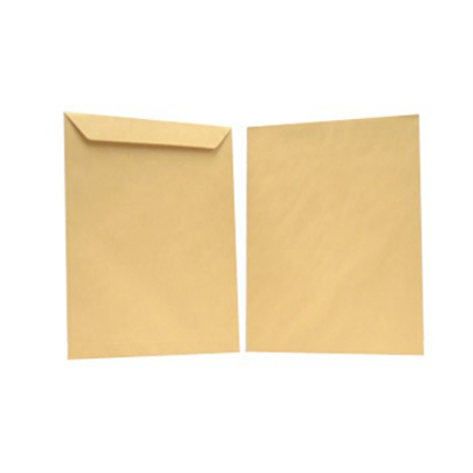 [IA0031] SOBRE MAPASA BOLSA PANUCO 60K CARTA C/500