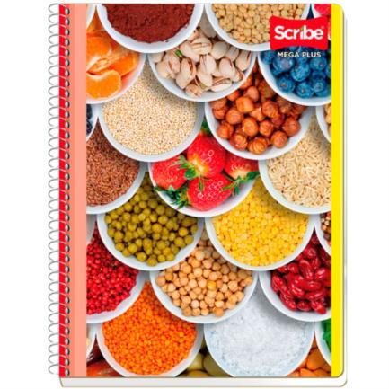[7512] Cuaderno Scribe Profesional Mega C5 100 Hojas