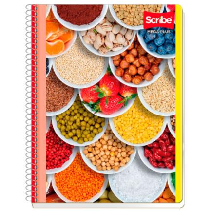 [7510] Cuaderno Scribe Profesional Mega Raya 100 Hojas