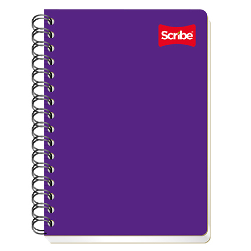 [1604] CUADERNO SCRIBE FRANCES CLASICO DOBLE RAYAS 100 HJS doble espiral
