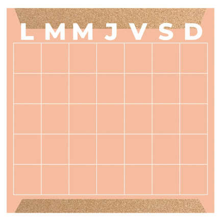 [6093] PLANEADOR MENSUAL ALFRA MIXTO CORAL  30X30 CM