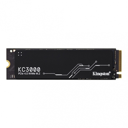 [ME-KIN-SKC31024] Ssd Kingston 1024 GB