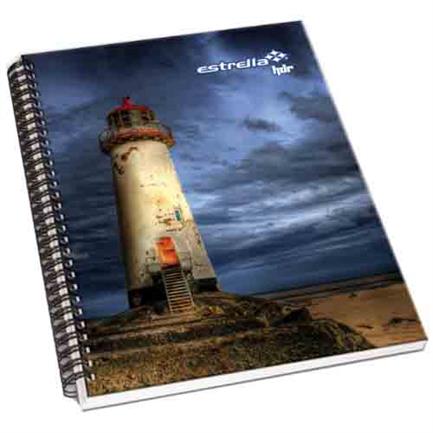 [644] LIBRO ESTRELLA PROFESIONAL MANAGER FRANCESA BI RAYADO 96 HJS