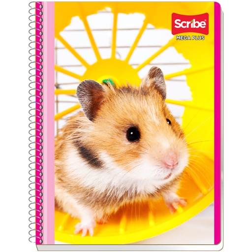 [7511] Cuaderno Scribe profesional mega plus blanco, con 100 hojas