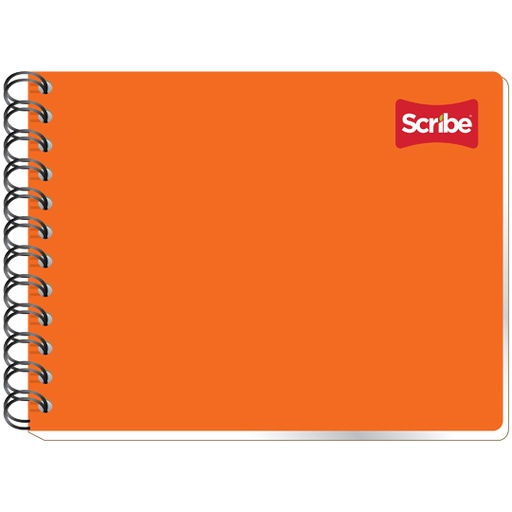 [1502] Cuaderno Scribe forma italiana clásico cuadro chico (5 mm), con 100 hojas