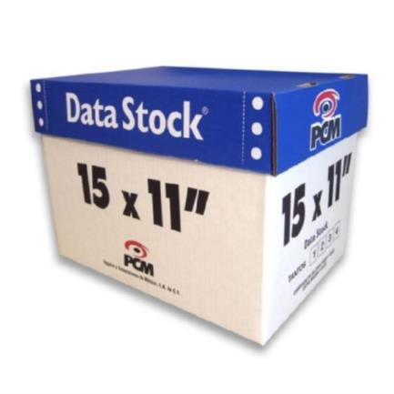 [DS00613000B] Papel PCM DataStock 15x11" 1Tantos Blanco C/3000 Hojas